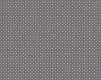 White Swiss Dot on Steel (C670-STEEL)