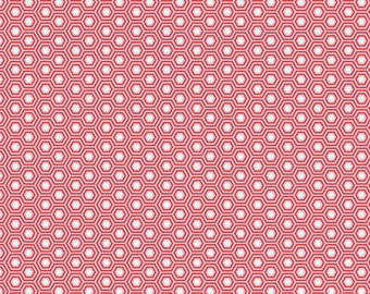 FreeSpirit/Tula Pink