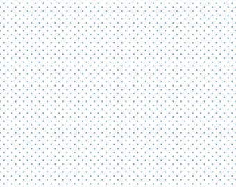 Aqua Swiss Dot on White (C660-20 AQUA)