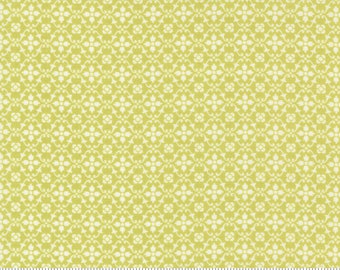 Moda Pumpkin Blossoms Sprout Florence (20426 14) 1/2 Yard Increments