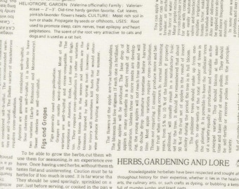Moda Summer's End Garden Collage Cloud by Fig Tree & Co. (35433 11) 1/2-YD Increments