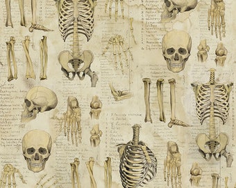 Free Spirit Laboratory Anatomy - Neutral (PWTH181.Neutral) 1/2-YD Increments*Laboratory Fabric*Halloween Fabric*Anatomy Fabric*Skeletons*