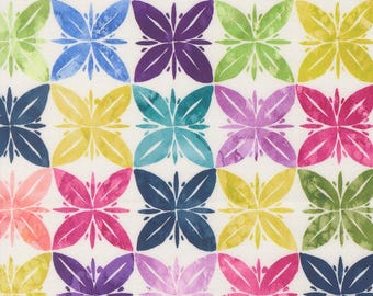 Moda Soulstice Slow Stroll Rainbow (39869 11) by Create Joy Project- 1/2-YD Increments