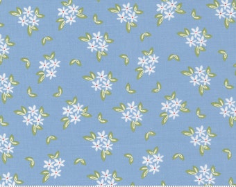 Moda Emma Daisies Bluebell (37632 19) 1/2-YD Increments