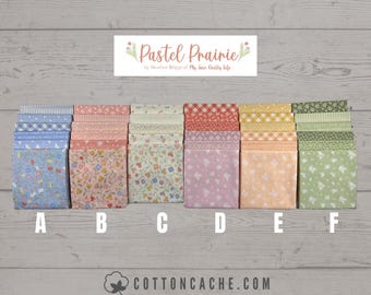 Moda/Ruby Star Society