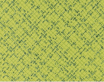 Moda Wild Blossoms Blotted Graph Paper Sunlit (48737 13) 1/2-Yard Increments