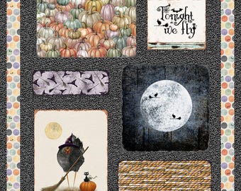 Studio E Tonight We Fly Panel (8336P-95) 1-YD Increments