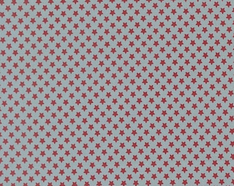 Moda Chilly Star Bright Storm (55714 25) 1/2-YD Increments