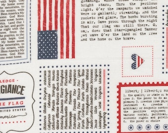 Moda Independence Day All Things American Vanilla by Sweetwater (55720 11) 1/2 Yard Increments