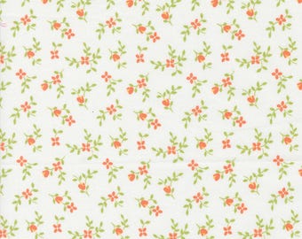 Moda Cali Co Vine and Bud Cloud Melon (29192 14) 1/2-YD Increments*Corey Yoder*Cali Co Fabric*Small Floral Fabric*Cali Co Floral*