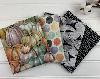 Studio E Tonight We Fly Fat Quarter Bundle (CC 8335)