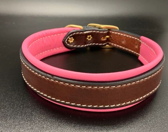 pink leather puppy collar