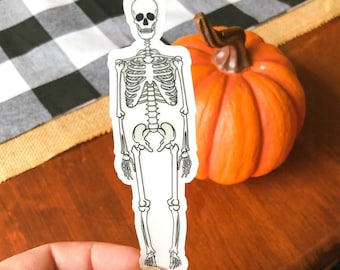 Skeleton Sticker (WATERPROOF)
