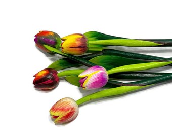 mix parrot Tulip bouquet 2025 colors