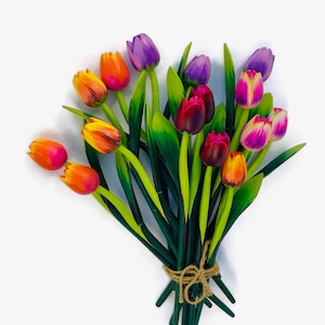 Mix Tulip Bouquet #5