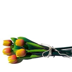 Wooden Tulip Bouquet