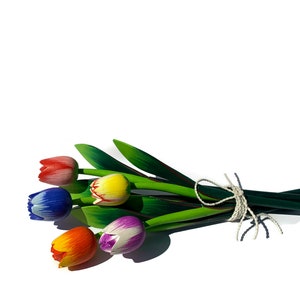 Multi-Color Tulip Pack