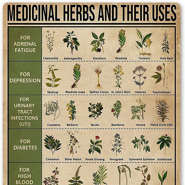 Medicinal Herbs and Their Uses Holistic Metal Sign Vintage Rustic Styled Kitchen Decor Apothecary Sign Nature and Environmentally Friendly