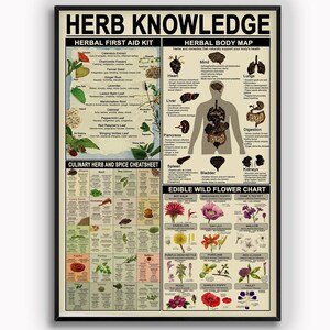 Medicinal Herbs and Their Uses Holistic Metal Sign Vintage Rustic Styled Kitchen Decor Apothecary Sign Nature and Environmentally Friendly