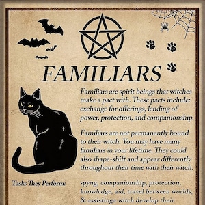 Familiar Spirit Black Cat Witch  Knowledge Cat Lover Gift Kitchen  Bar Bathroom Garden Home Outdoor Decoration |Metal Tin Signs 8 x 12 Inch