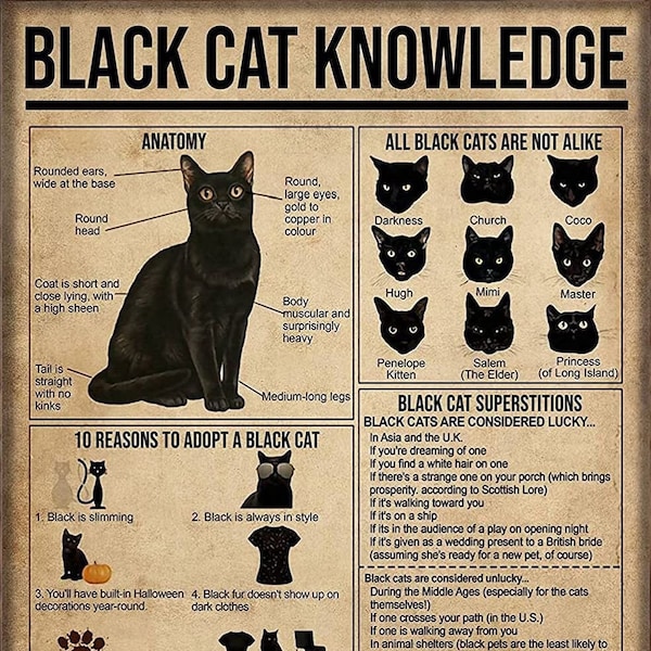 Letrero de conocimiento de gato negro/regalo para amantes de los gatos negros/decoración de cocina, bar, baño, jardín, hogar, decoración al aire libre/letreros de metal de 8 x 12 pulgadas