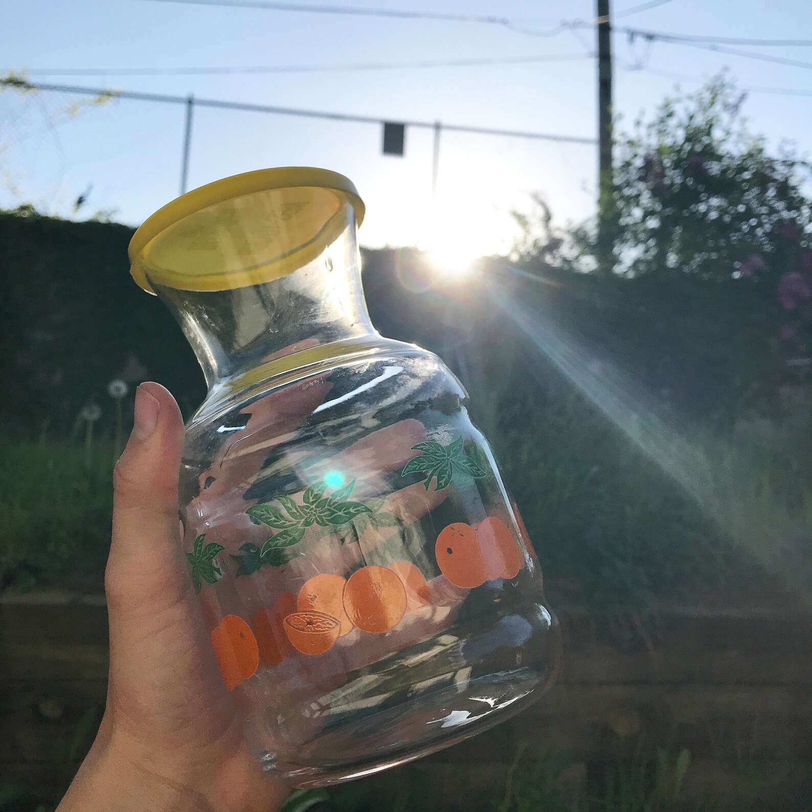 Juice Decanter w/ Oranges Etsy