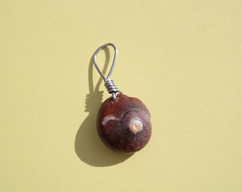 shell pendant