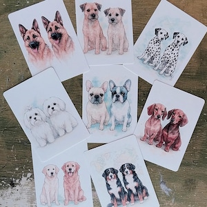 Per gli amanti dei cani, un set di 8 cartoline raffiguranti dalmata, retriever, pastori tedeschi, bulldog, bassotti, maltesi, cani da montagna bernesi e terrier.
