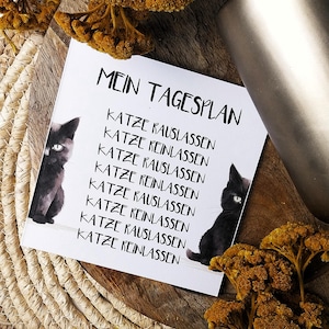Lustige Katzen Karte – Perfektes Geschenk für Katzenliebhaber, Katzenmamas & Freunde | Witzige Karte mit Spruch