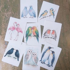 Conjunto de 8 cartões postais de pássaros – papagaios, pinguins, corujas, flamingos, chapins-azuis, pombos e muito mais | Cartões de presente com motivos de animais, decoração e natureza