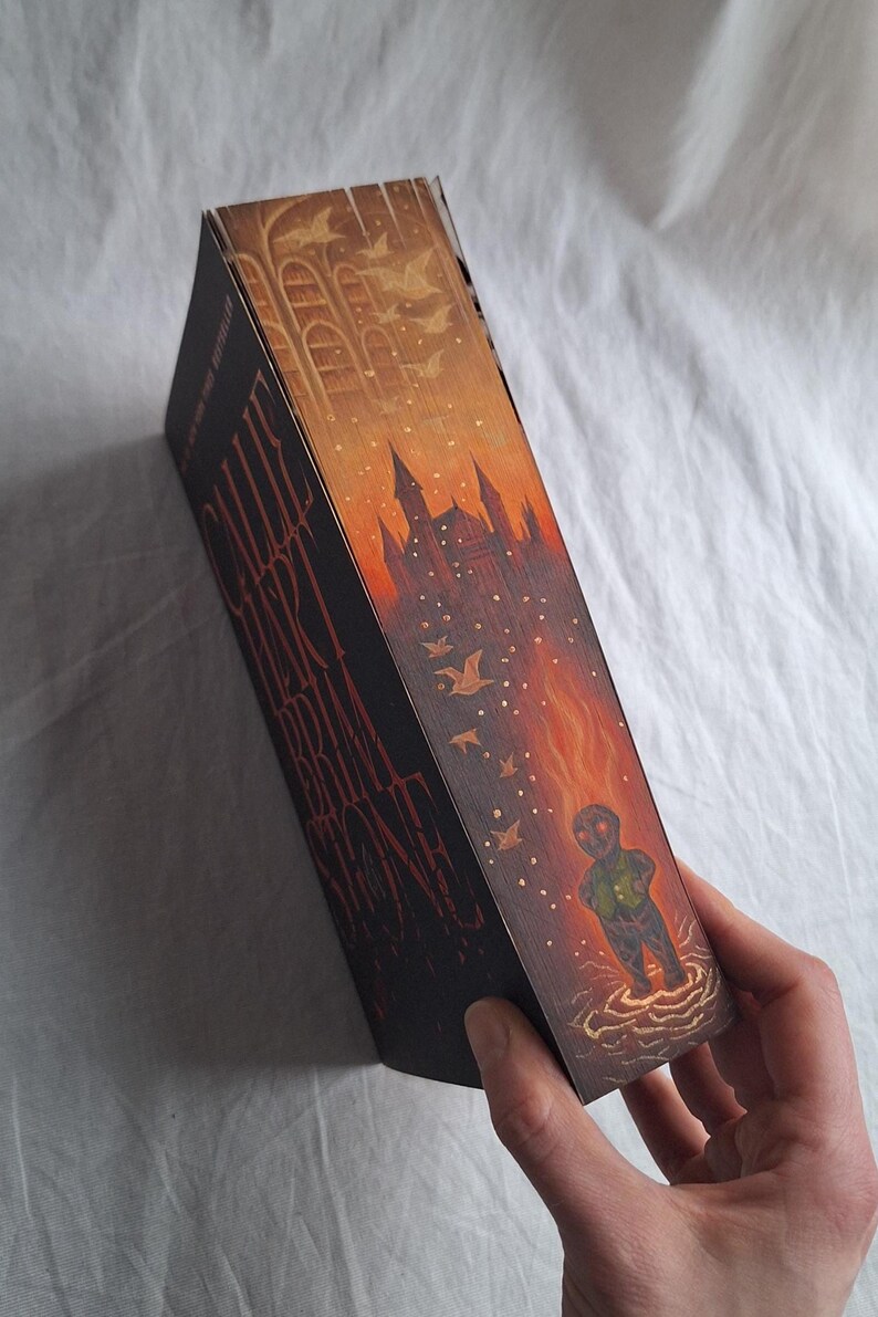 May include: A book with a detailed illustration on the side. The artwork depicts a castle, birds, and a figure in a fiery scene. The book's spine is black with the title and author's name in white.