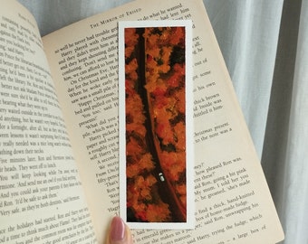 Autumn Forest Handpainted Bookmark - Original Acrylic Landscape Painting on Paper, Fall Drive Gift for Readers, Unique Art Claire Williams