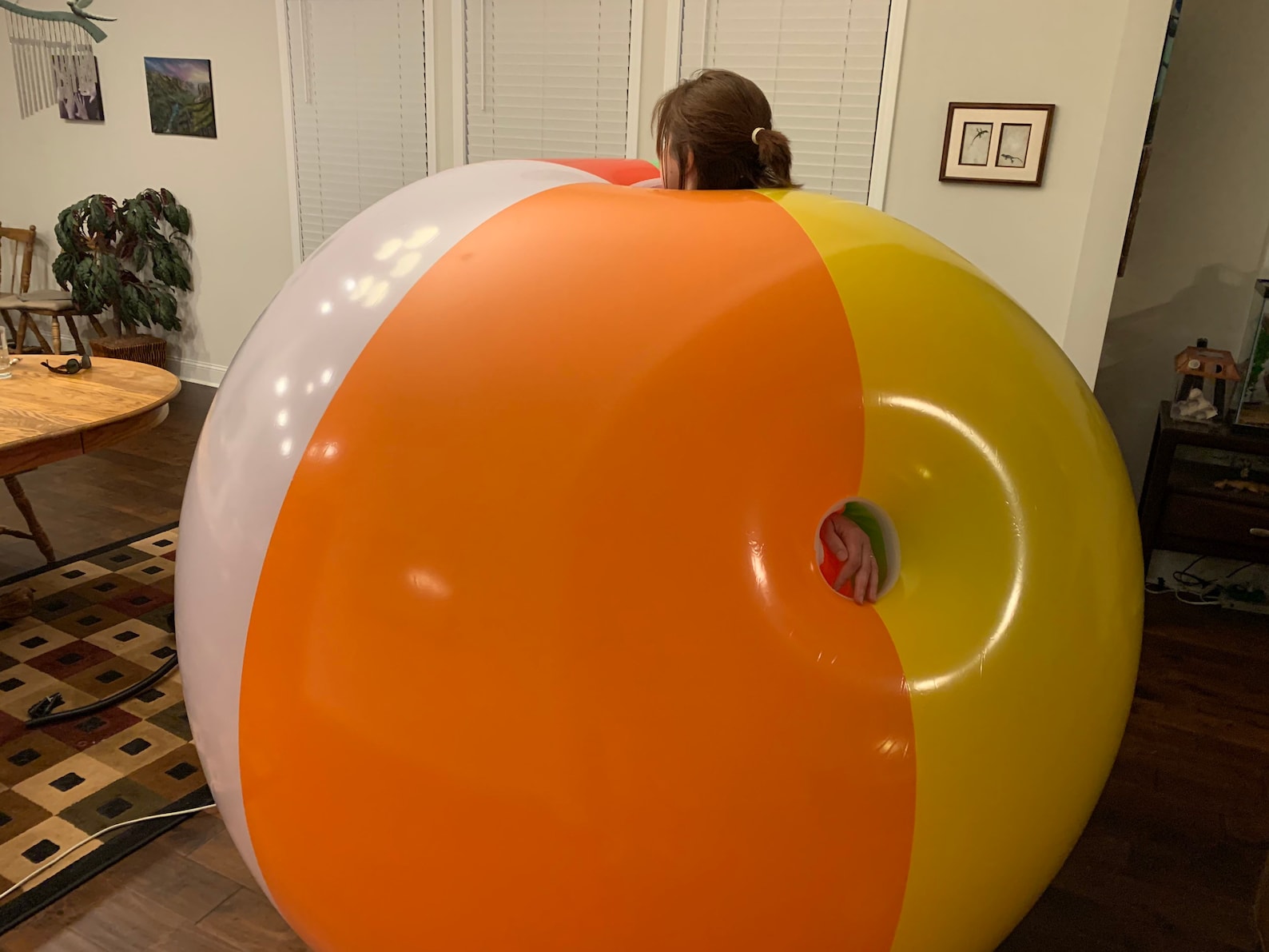 68 week waiting period 6 Foot Inflatable Beach Ball Suit Etsy