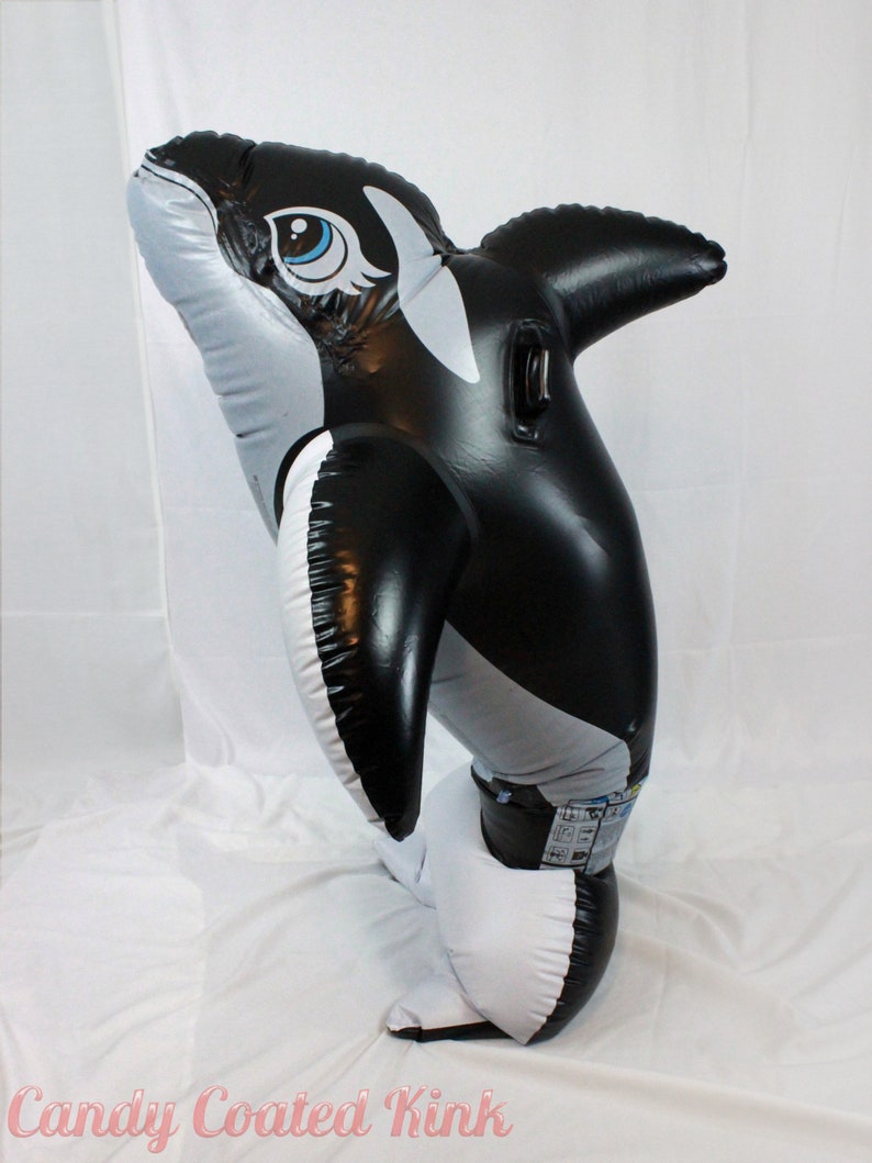 sequence wale suit