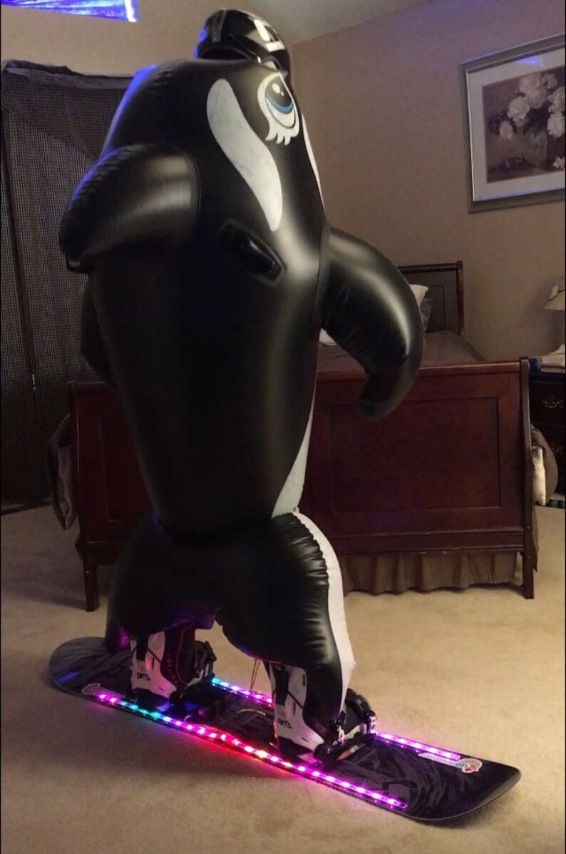 sequence wale suit