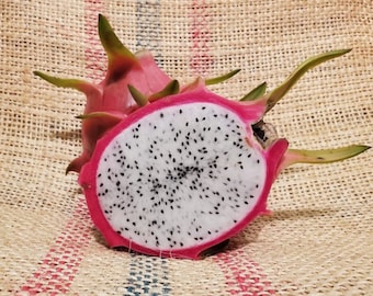 Dragon Fruit Plant "White King Hollywood" White Fruit