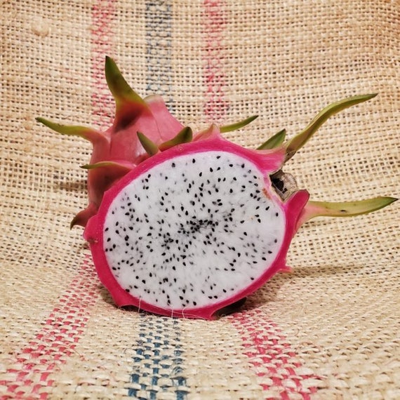 White King Hollywood dragon fruit