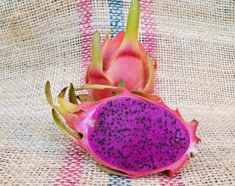 Planta de fruta del dragón "La Verne" Fruta de color púrpura oscuro