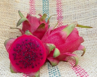 Dragon Fruit Plant &quot;Cebra&quot; Red Fruit