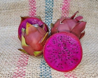 Dragon Fruit Plant "American Beauty" Dark Pink Fruit