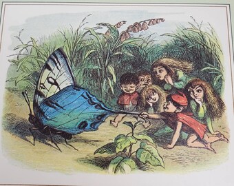 Vintage Butterfly Fairy Lithograph Elves Teasing Butterfly Richard Doyle In Fairyland Elf World Illustration Green Framed Fairy Print 1973