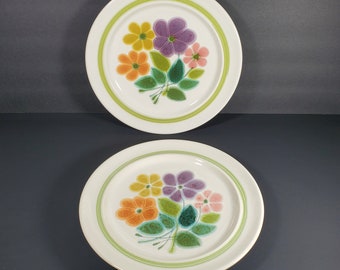 Vintage Floral Dinner Plates Set of 2 Franciscan Earthenware Purple Orange Yellow Pink Flower Plates Green Rimmed Plate