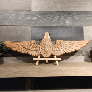 Naval Flight Surgeon Wings, Pilot, 3D Carved Aviator Wings, Navy Medicine, Navy Gifts, Retirement, Wall Hanging