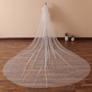 Pearls Scattered Cathedral Veil with Cut Edge Wedding Veil with Pearls Dust Sparkling Tulle Wedding Veil Chapel Bridal Veil Champagne Veil