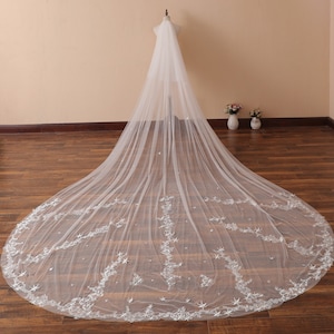Modern Long Star Veil Delicate Star Wedding Veil Cathedral Lace Veil Ivory Embroidery Stars Bridal Veil Cut Edge Floral Blusher Wedding Veil