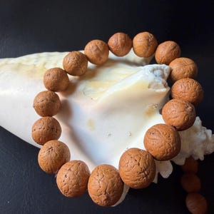 May include: A circular bracelet composed of seventeen round, brown, textured beads with a natural, organic surface pattern. The beads are strung together in a continuous loop, displaying a matte finish and a uniform, spherical shape throughout the piece.