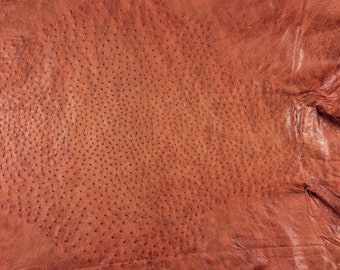 Ostrich Leather Hide Paprika Color /%100 Natural Genuine Hide