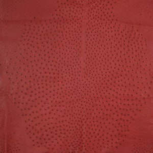 Ostrich Hide Leather Campari Color CF (%100 Genuine Natural Skin)