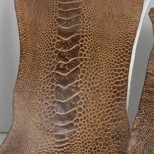 Straußenhaut Leg Leathers Antique Saddle BF Color