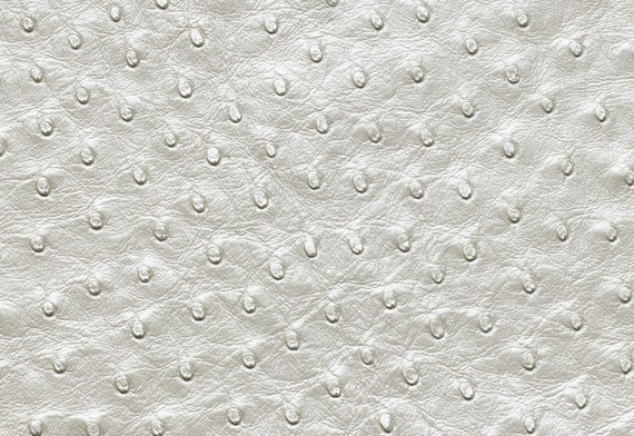 ostrich leather Black color grade B 100% Genuine 16 Sqft ostrich leather Black color grade B 100% Genuine 16 Sqft